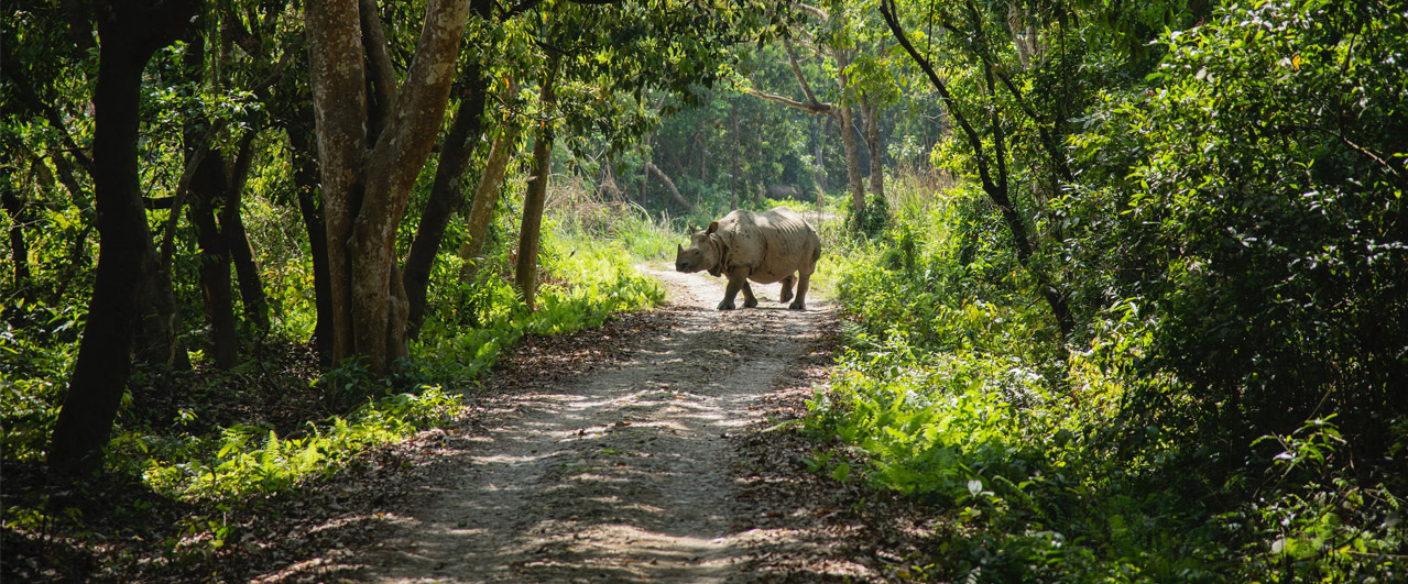 nepal wildlife tour